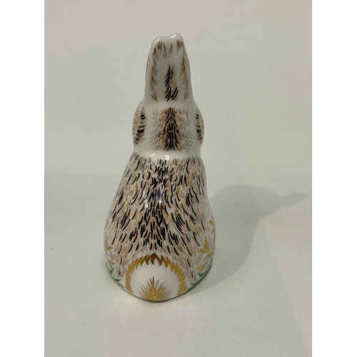 Royal crown Derby rabbit ‘Nibbles’ paperweight