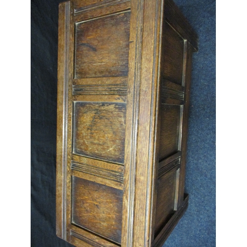 384 - A small oak coffer, approx. size Width67cm Height 40cm Depth31cm