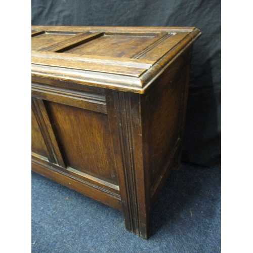 384 - A small oak coffer, approx. size Width67cm Height 40cm Depth31cm