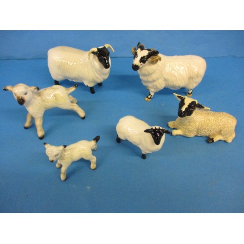 213 - 6 Vintage Beswick sheep figures, one having a very small chip, less then 1mm nip to one ear end, all... 