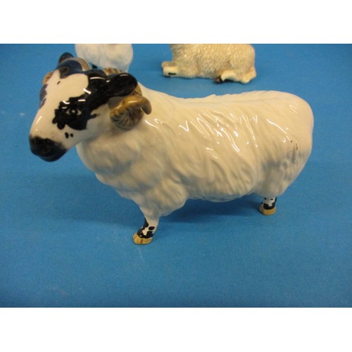 213 - 6 Vintage Beswick sheep figures, one having a very small chip, less then 1mm nip to one ear end, all... 