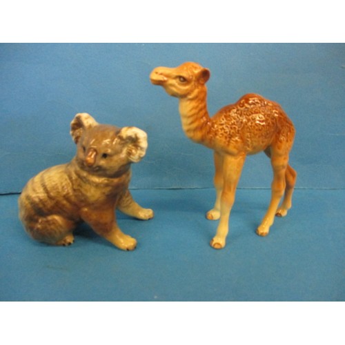 211 - A vintage Beswick camel and koala bear, both in good condition with no observed damage or restoratio... 