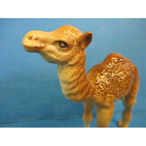 211 - A vintage Beswick camel and koala bear, both in good condition with no observed damage or restoratio... 