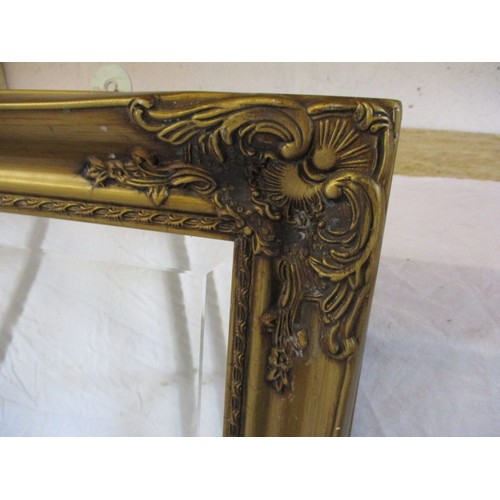 333 - A large gilt framed wall mirror, approx. size, H 134c m W 73cm in good condition with general age re... 