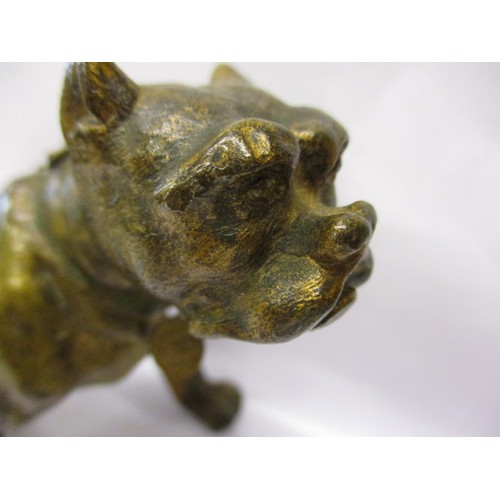 171 - A late 19th century cold painted Viennese bronze sculpture of a chained dog, marked 1869 WIEN on tag... 