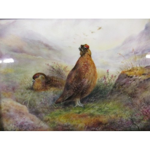 176 - A Royal Worcester porcelain plaque decorated with grouse on moor land, signed P Platt, approx. size ... 