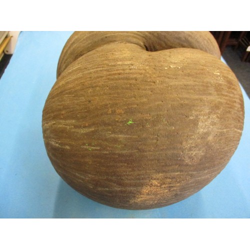 279 - An early 20th century coco de mer (Lodoicea)  pod, in unpolished condition