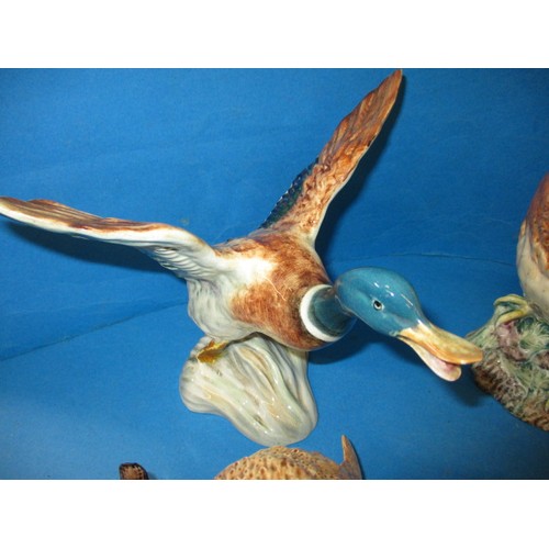 202 - A parcel of vintage Beswick bird models, to include several owls, one having what looks like a facto... 