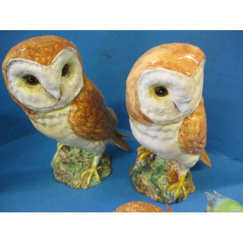 202 - A parcel of vintage Beswick bird models, to include several owls, one having what looks like a facto... 