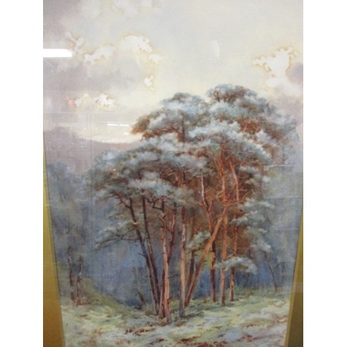 314 - An Edwardian watercolour ‘Scottish Firs’ monogrammed lower right, note verso for J A Gilchrist a ren... 