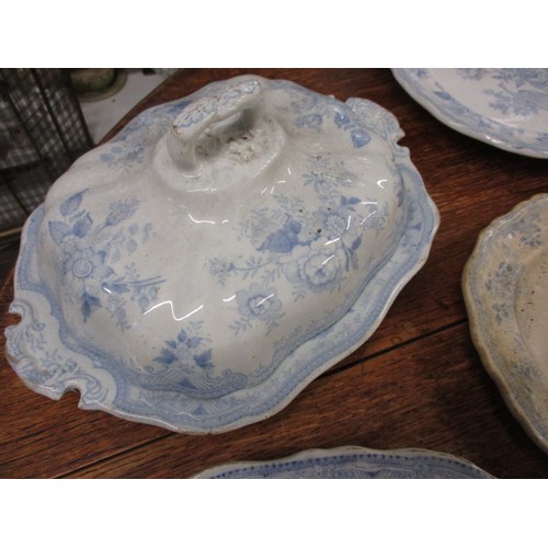 209 - A quantity of 19th century Blue & White platters, most in the Asiatic pheasant design, includes a tu... 