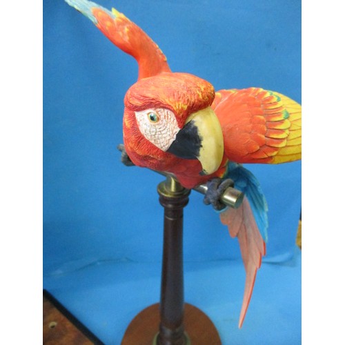 214 - A Border Fine Arts Macaw by Richard Roberts and one other signed G Armarni which was possibly a lamp... 