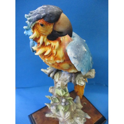 214 - A Border Fine Arts Macaw by Richard Roberts and one other signed G Armarni which was possibly a lamp... 