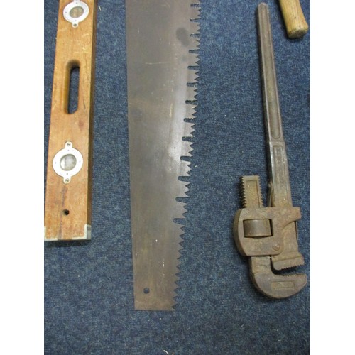 224 - A large 19th century ‘ripping’ saw, approx. length 135cm an axe a pair of 24” stilsons and a spirit ... 