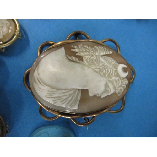 110 - A large quantity of antique and later cameo brooches, some with yellow metal mounts. All in reasonab... 