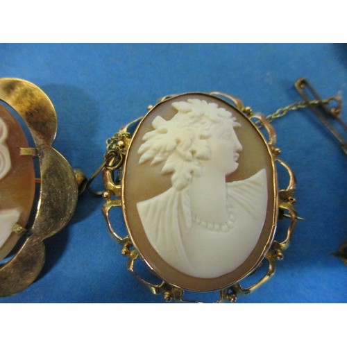 110 - A large quantity of antique and later cameo brooches, some with yellow metal mounts. All in reasonab... 