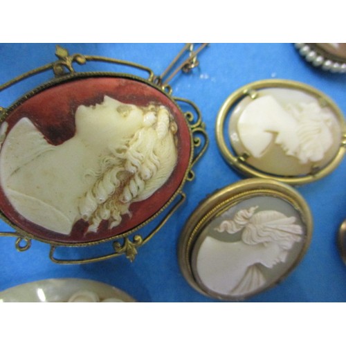 110 - A large quantity of antique and later cameo brooches, some with yellow metal mounts. All in reasonab... 