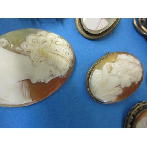 110 - A large quantity of antique and later cameo brooches, some with yellow metal mounts. All in reasonab... 