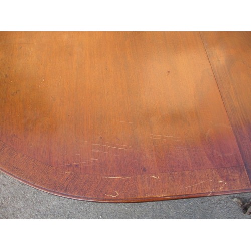 313 - A large pedestal mahogany 3-part dining table with extra leaf. On sabre leg pedestals with brass cas... 