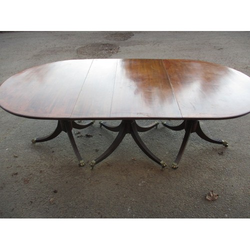 313 - A large pedestal mahogany 3-part dining table with extra leaf. On sabre leg pedestals with brass cas... 