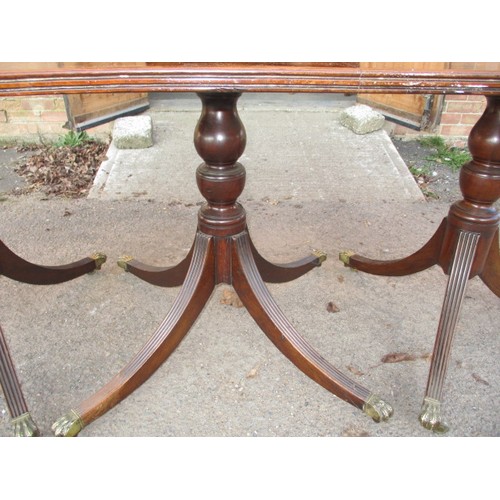 313 - A large pedestal mahogany 3-part dining table with extra leaf. On sabre leg pedestals with brass cas... 