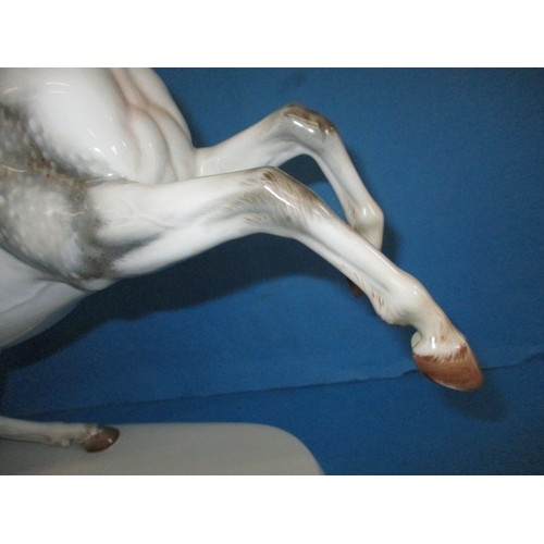 176 - A large Rosenthal porcelain horse figurine, in good condition with no observed damage or restoration... 