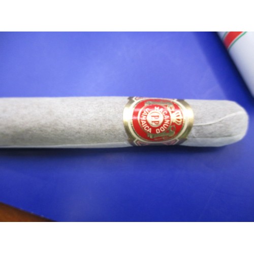 166 - Two 1981 Royal Commemorative Macandu cigars in original tubes, in as new condition, approx. length 1... 