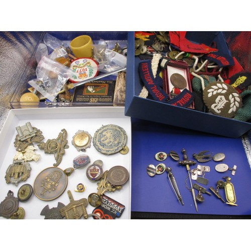 161 - A parcel of very interesting collectables, to include military metal and cloth badges, an Egyptian g... 