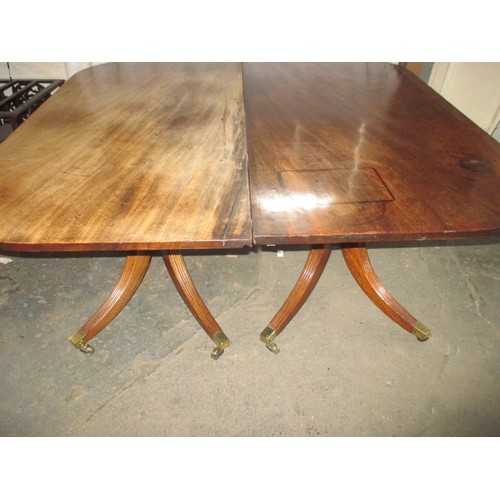 311 - An antique mahogany 2 part pedestal dining table on splayed sabre legs, each part with tipping top, ... 