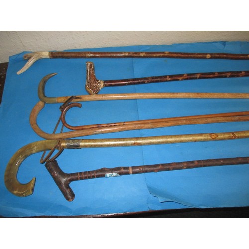 367 - A parcel of walking sticks, some with white metal mounts, various lengths, all in good used conditio... 