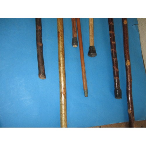 367 - A parcel of walking sticks, some with white metal mounts, various lengths, all in good used conditio... 