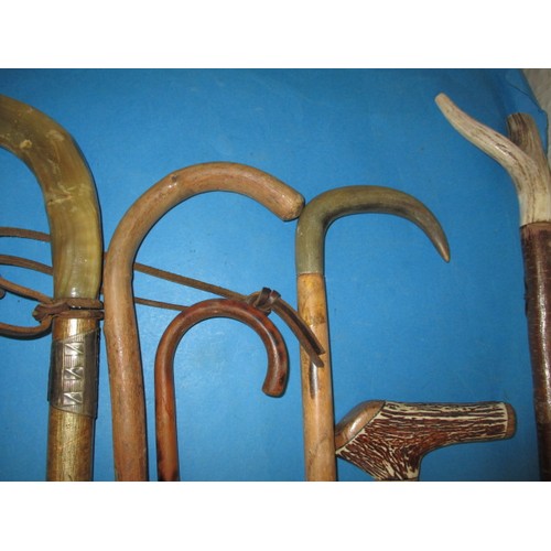 367 - A parcel of walking sticks, some with white metal mounts, various lengths, all in good used conditio... 