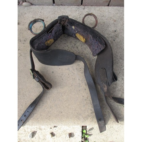 266 - An antique goats harness, in good used condition