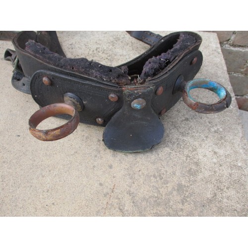 266 - An antique goats harness, in good used condition