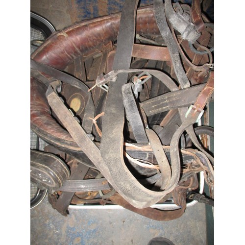 270 - A large quantity of antique and later horse harnesses, various sizes and types, all in used conditio... 