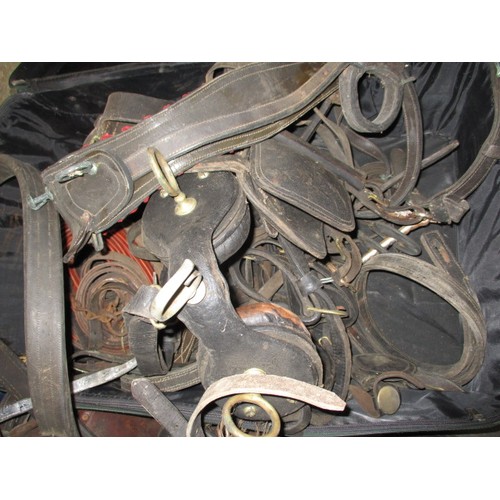 270 - A large quantity of antique and later horse harnesses, various sizes and types, all in used conditio... 