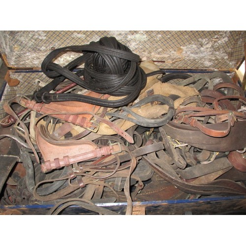 270 - A large quantity of antique and later horse harnesses, various sizes and types, all in used conditio... 