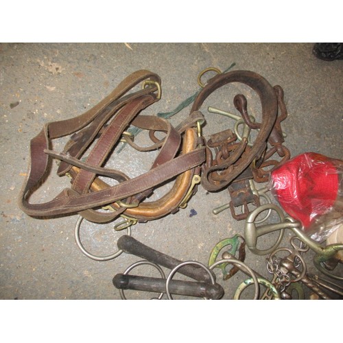 274 - A parcel of vintage tack to include various bits and miscellaneous associated items