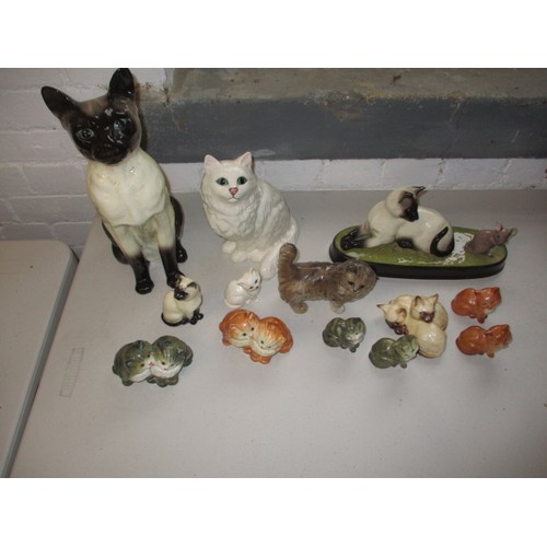 291 - A collection of Beswick ceramic cats, all in pre-owned condition, the cat with mouse has a small nib... 