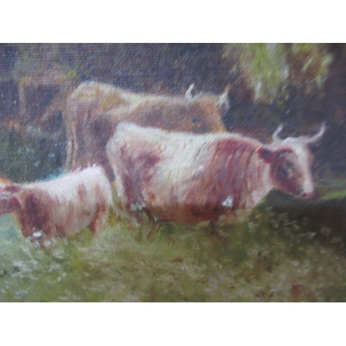 239 - A 19th Century oil landscape of a bovine scene. Signed lower left C.N Miller. In period gilt frame. ... 