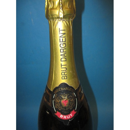 272 - A magnum of Brute Dargent 2004 Chardonnay sparkling French wine, 1500ml bottle