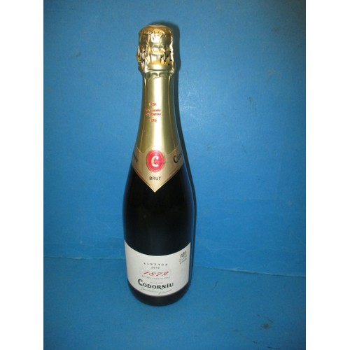 282 - 2016 vintage Codorniu brut cava, 75cl bottle