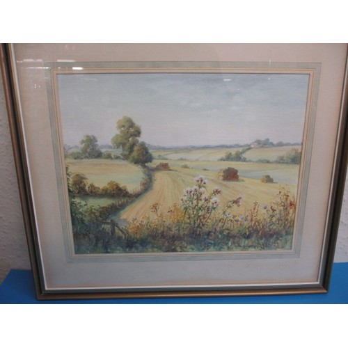 184 - 20th century watercolour landscape, “Roadside thistles” dated 81 signed J Brangwyn, approx. image si... 