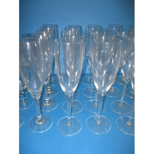 237 - A large quantity of champagne flutes, all with no observed damage, various sizes