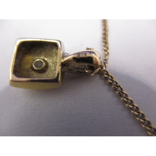 58 - A 9ct gold necklace chain with a 9ct bicolour gold pendant and an Edwardian 18ct gold pendant with a... 