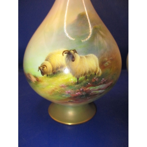 144 - A pair of Royal Worcester vases depicting sheep both signed E Barker approx. height 20cm, both with ... 