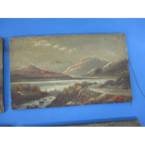 291 - 19th century oil on board landscapes, all signed Hugh Church, 7 in total, all unframed and in need o... 