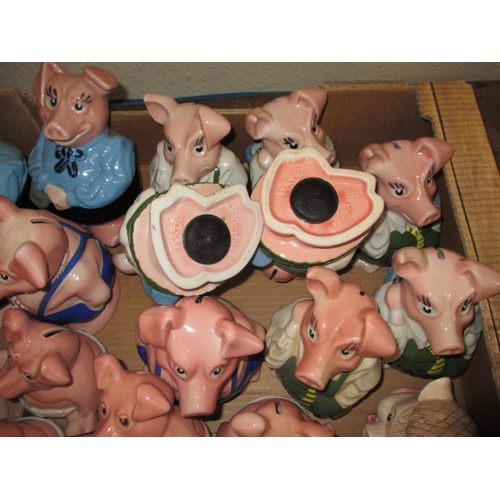 19 - A parcel of vintage Nat West pig money banks, some with missing stoppers, all in used condition