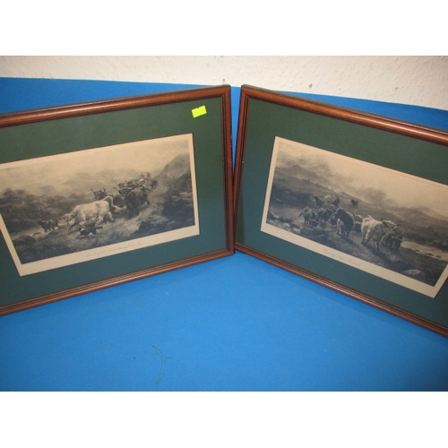 65 - Two Edwardian prints of highland cattle , in later frames, each approx. 43x31cm