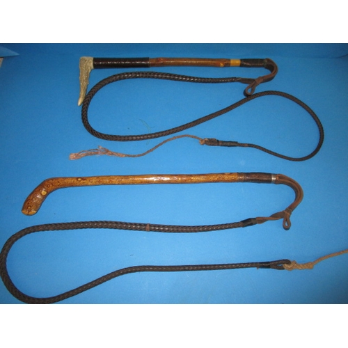 343 - Two vintage horse whips, one with a horn handle, both in good used condition